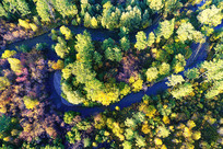 ���˰����＾ɭ�ֺ�������