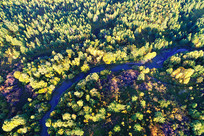 ���Ĵ��˰����＾С��