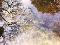 �峺��ˮ�е�ˮ�ݺ͵�Ӱ