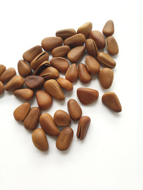 �׵�����