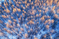 ���Ĵ��˰��붬��ѩ�������