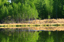 ���˰������ï������