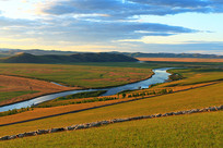 ������ɺ�������Ⱥ