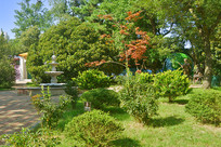 �ൺ�˴����ʷ������԰ 