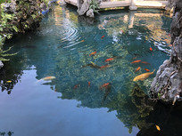 ��ɽ����ˮ����Ľ��� 