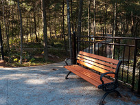 ɭ���е����п���