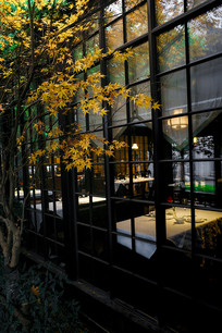 �칫�ݻ��񴰷�Ҷ