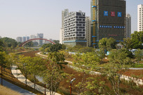 ���ڴ�ɳ��-������ѧ�о���Ժ