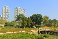 ���ڴ�ɳ�����廪�����о���Ժ