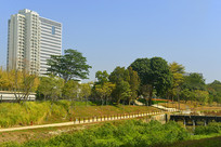 ���ڴ�ѧ�Ǵ�ɳ�����廪��ѧ 