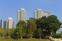 ���ڴ�ѧ���廪�����о���Ժ