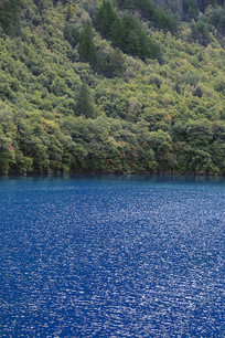 �������Ծ�կ��