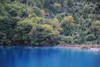 ���׵ľ�կ������