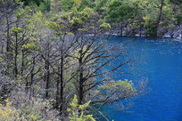 ��կ�����׵���ɫ����