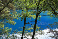 ��կ����������