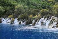 ��կ���ٲ�Ⱥ����