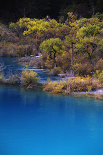 ��կ���＾����