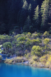 ��կ��ɭ��Ϫ��