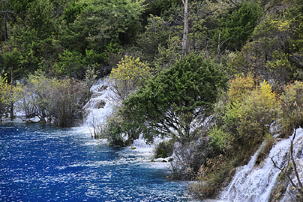 ��կ��Ϫ���ٲ�