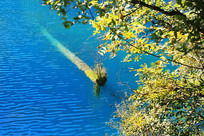 ��ɫ�λþ�կ����ľ��