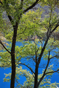 ������������կ���