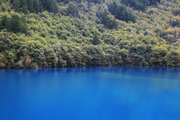 ͯ�����羲�׵ľ�կ��