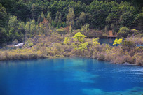 ͯ�������կ�����