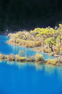 ͯ�������կ����ɫ���