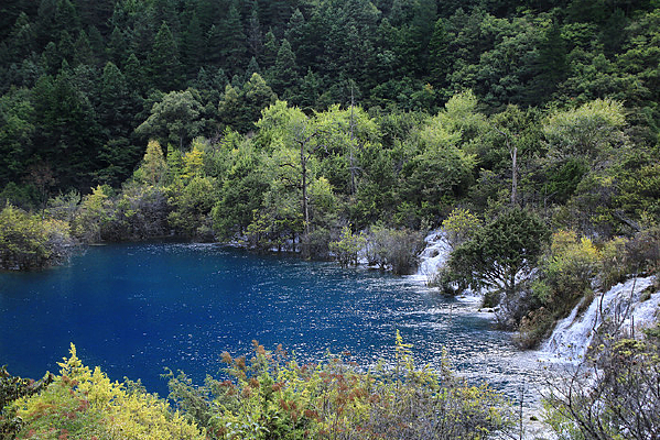 Ϫ���ٲ���կ��