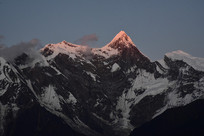 ���Ȱ��ߵ�����