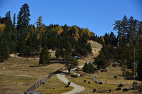 ���ظ�ԭ�ݳ�