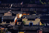 ������լ