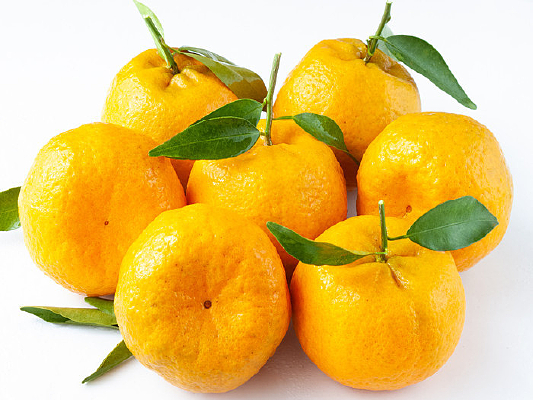 һ�їո��ڰױ�����