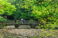 ���쳤ɳ��ʿ��԰�羰