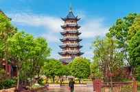 ���ض����񻭻�������������