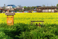 ����˫���ڵ�������ũ���Ļ�԰�Ͳ˻���