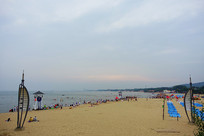 �����Ӻ����ϻ�ʯ���Ϲ�԰