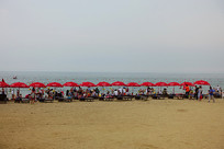 �����Ӻ����ϻ�ʯ���Ϲ�԰