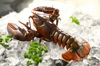 ��ʿ����Ϻ��