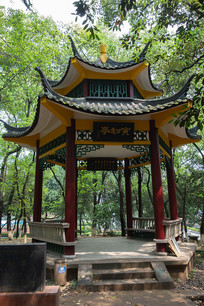 ���������������ѧ����ͤ