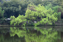 �����ѧ��������ɫ�Ļ���