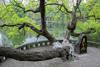 �����ѧ��������ɫ�����л���