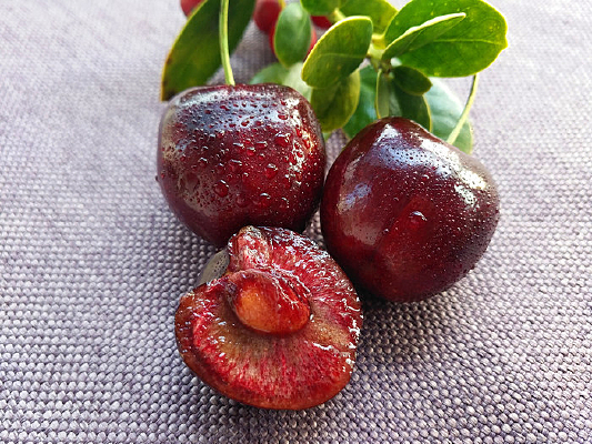 �����Ӿ�������