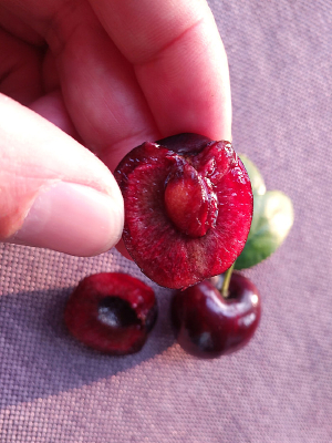 ���⳵����