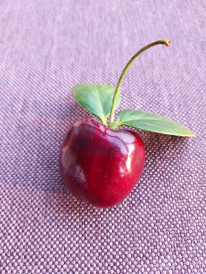 ��Ҷ������