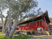 �����°�Ƥ��