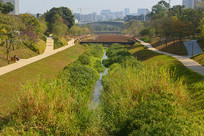 ���ڴ�ѧ�Ǵ�ɳ�ӷ��