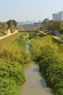 ���ڴ�ѧ�Ǻ�����ɳ�Ӻӵ�