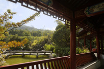 ���ڴ�ѧ����ʽ�ŵ���԰�� 