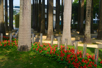 ���ڹ���԰�ֻ��ܲ���԰����� 